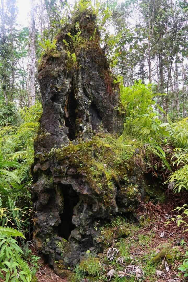 Lava tree decomposing with cavity from the former tree