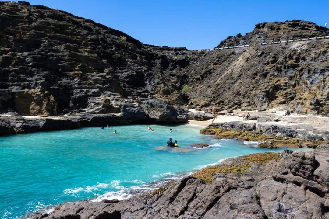 Halona Beach Cove Swimming
