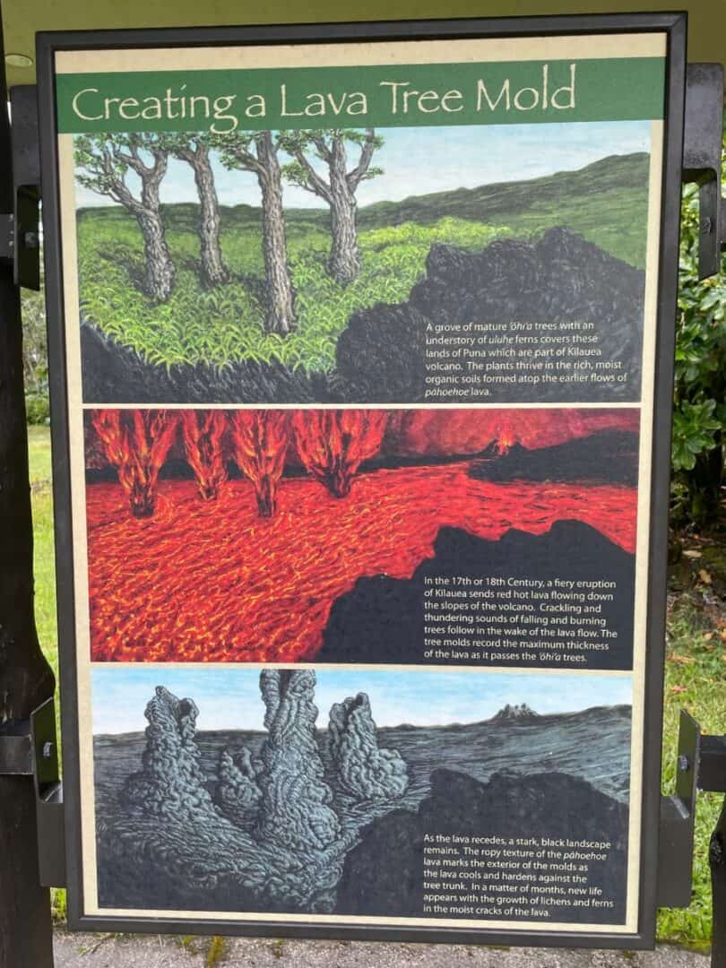 Informational sign at Lava Tree State Monument detailing the creation of a lava tree mold