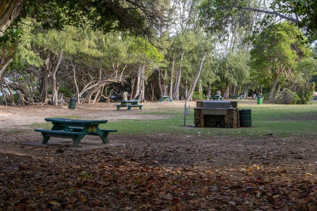 Campground at Malaekahana State Recreation Area