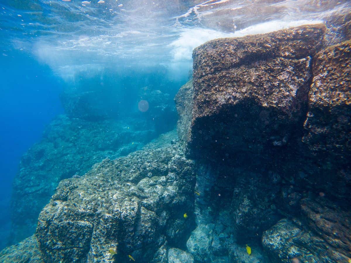 Underwater view of South Point cliffside