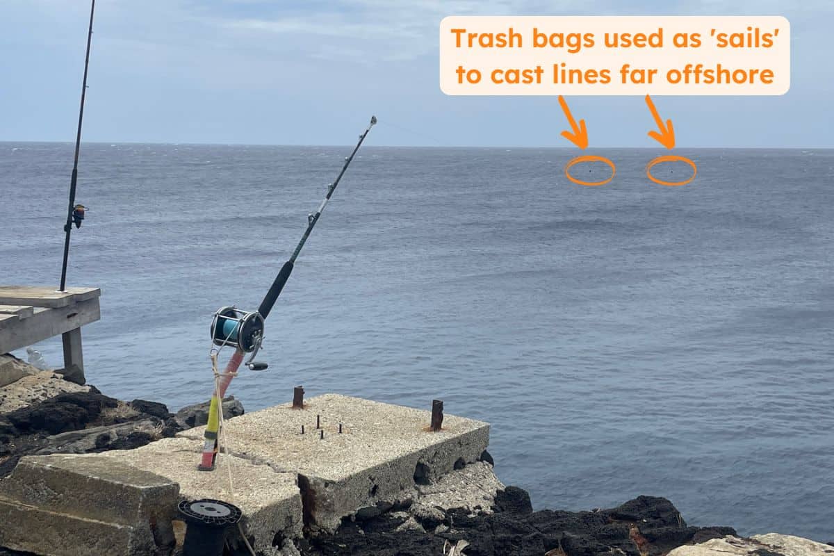 Trash bags used as sails to cast fishing lines at South Point Hawaii