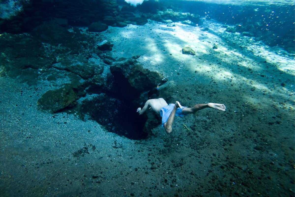Trey swimming to the source of the spring water in Las Estacas Mexico