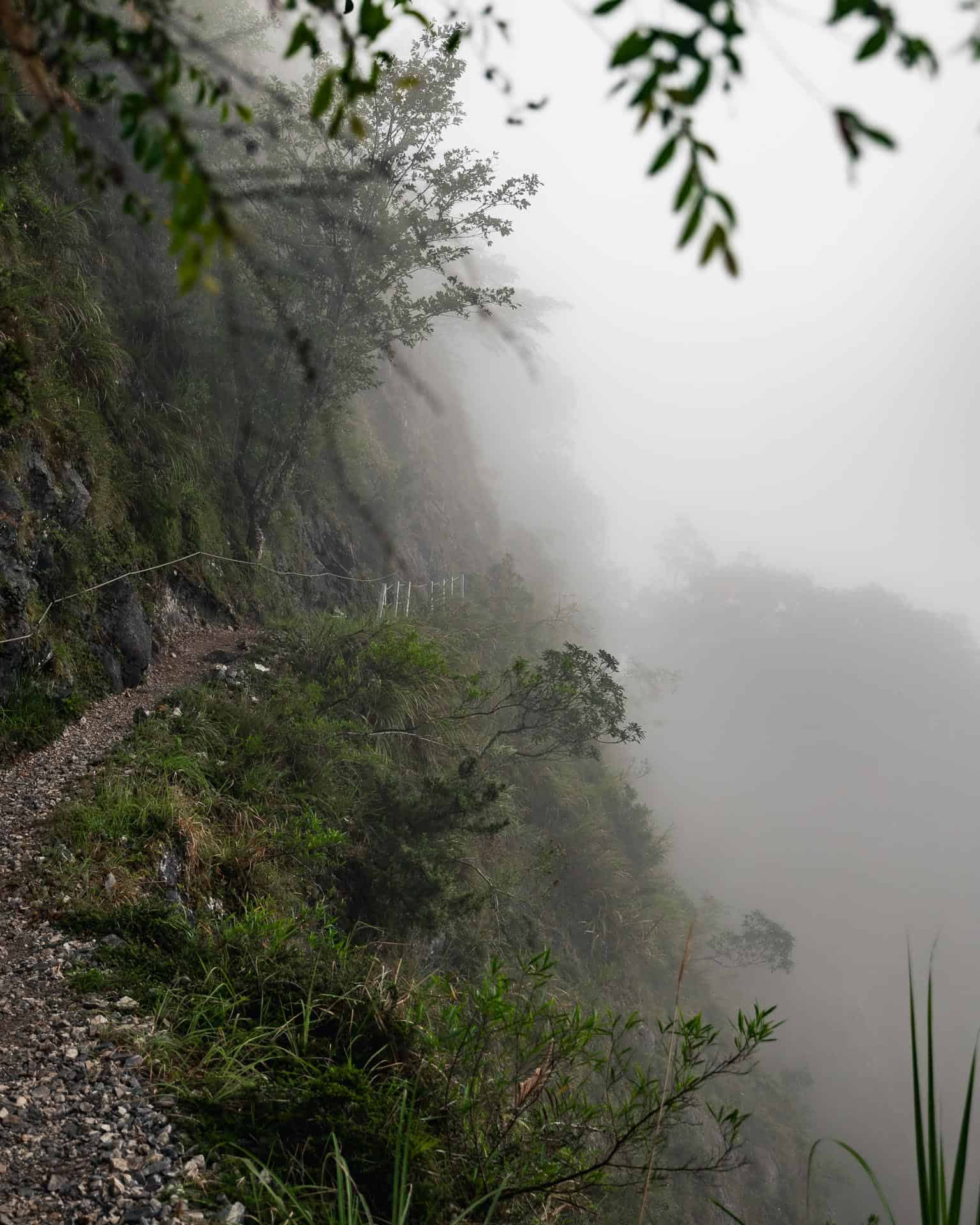 Cliffs of Zhuilu Old Road Trail in fog