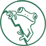 The Froggy Adventures logo