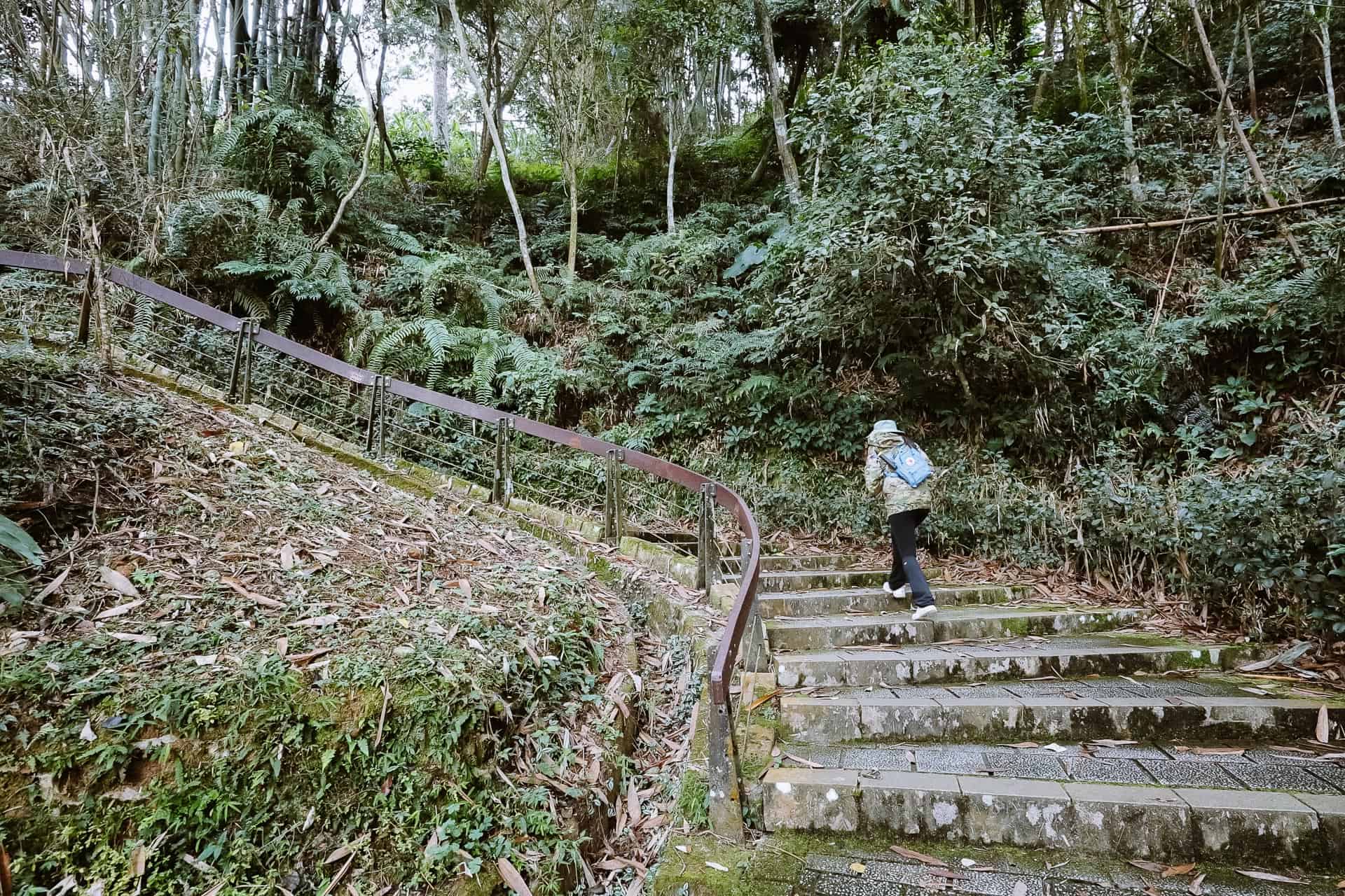 Ci'en Pagoda pathway steps