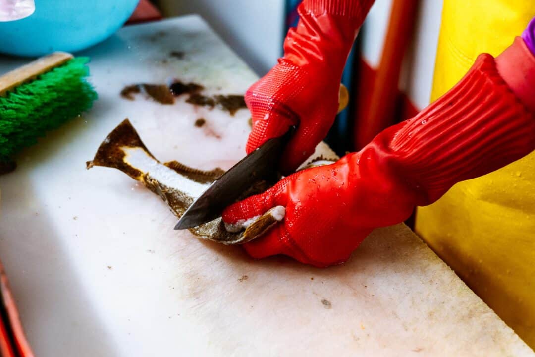 Cleaning a flounder fish