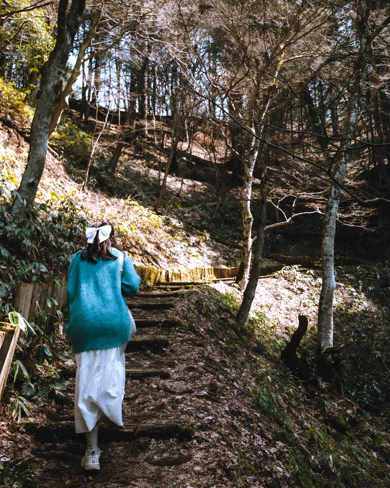Hike up to Takayama Castle