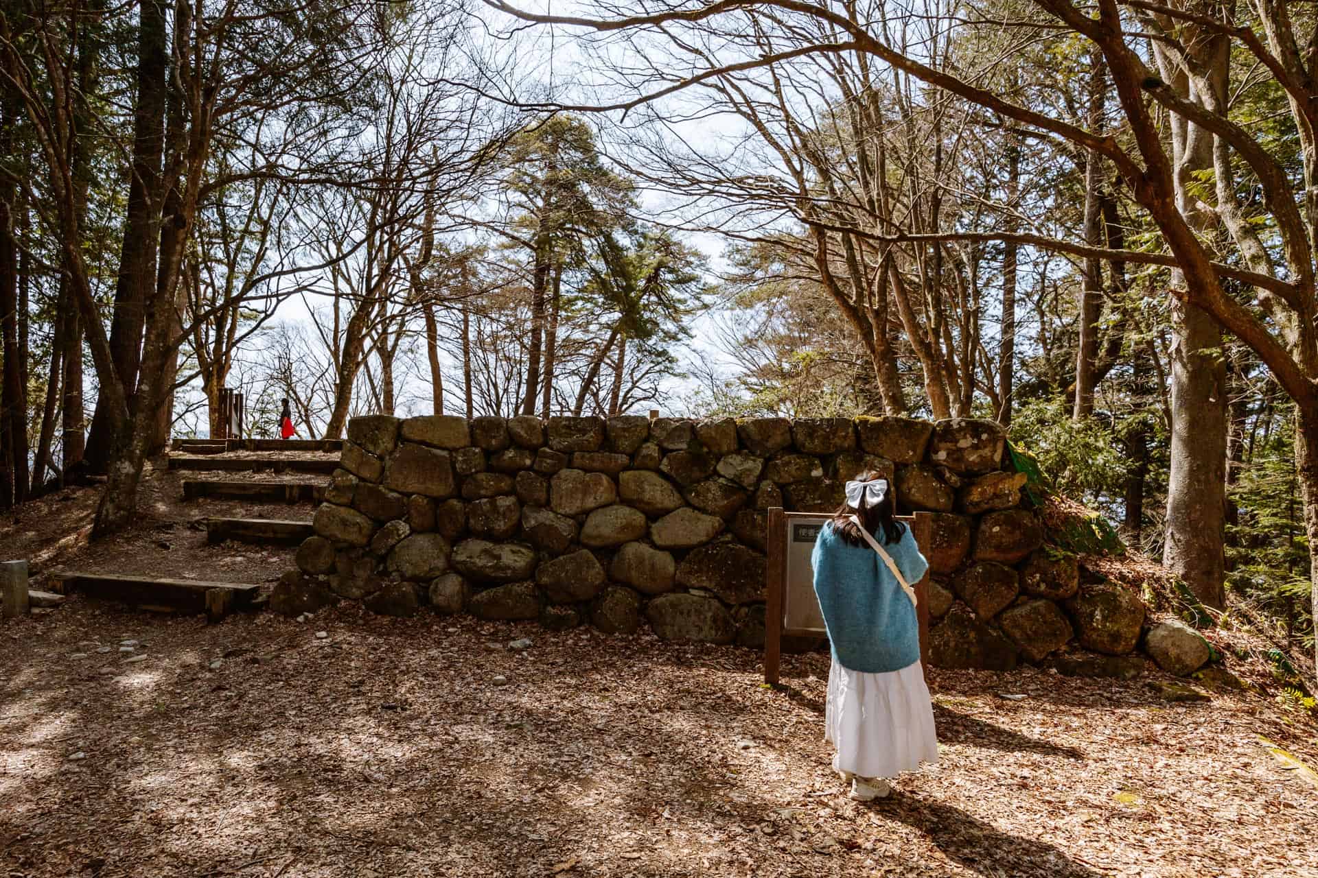 Takayama Castle stone ruins