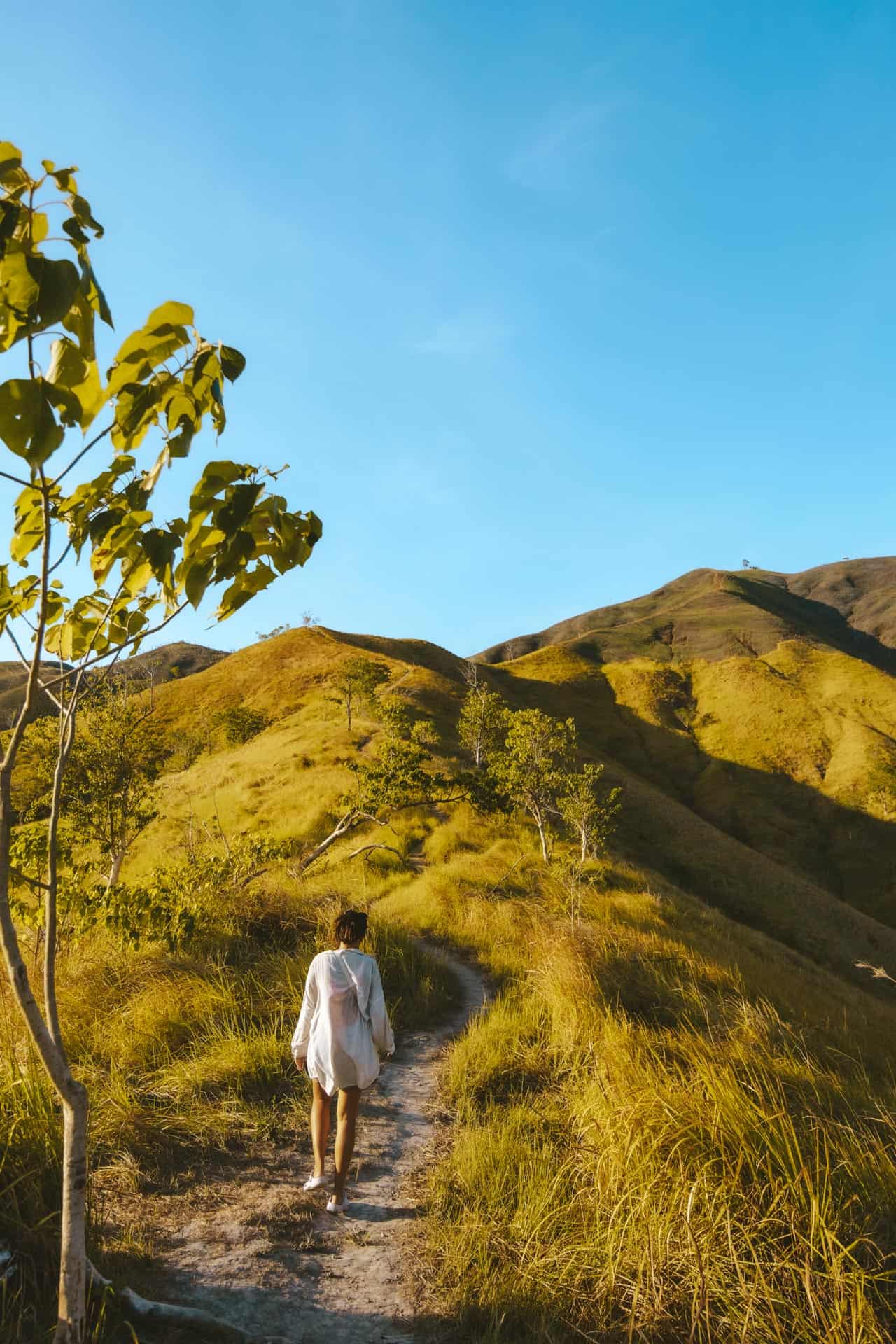 Alicia Panoramic Park in Bohol, Philippines: Hiker's Guide 5 Chloe hiking Alicia Panoramic Park in Bohol, Philippines