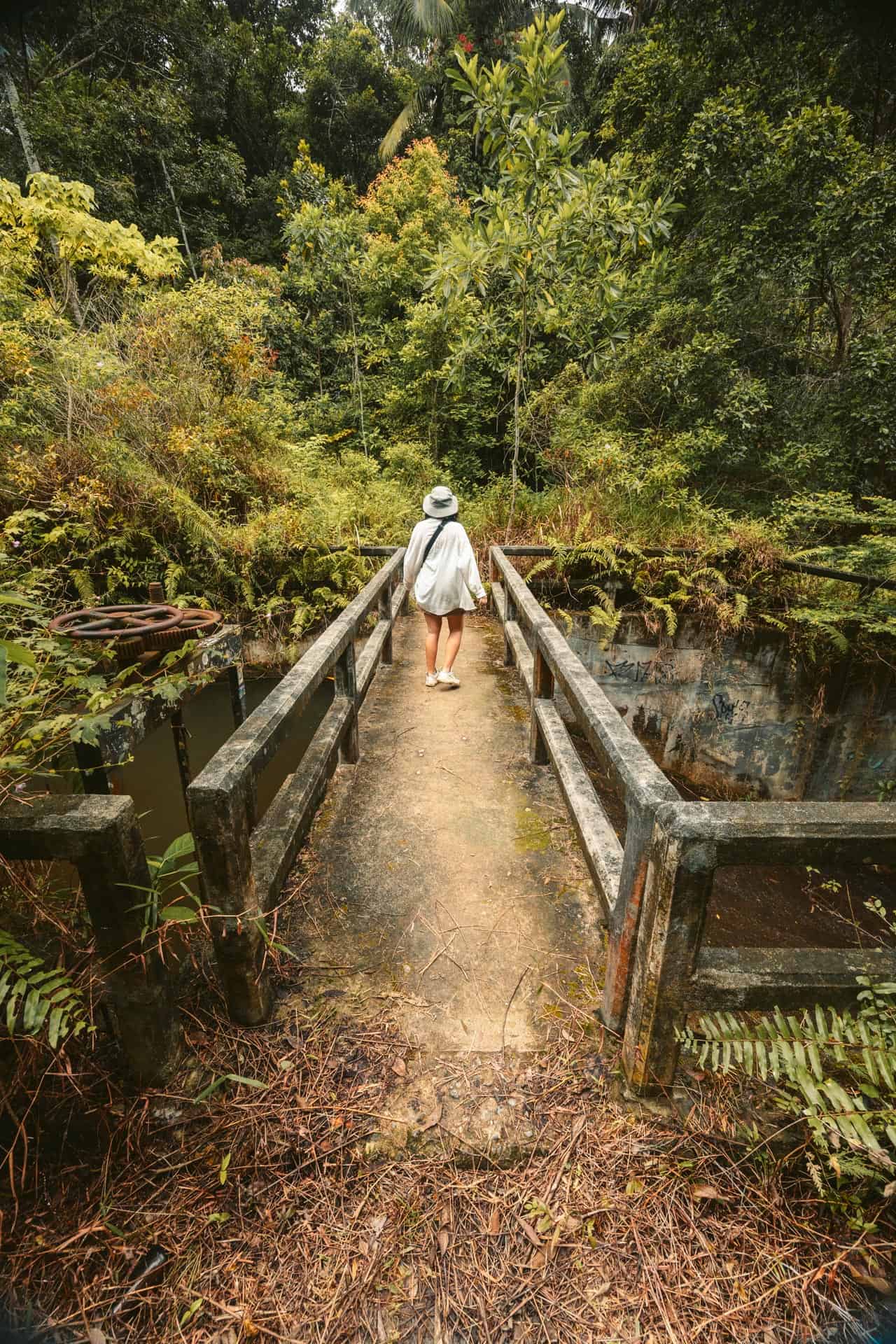 Bridge on Haad Yuan Hike