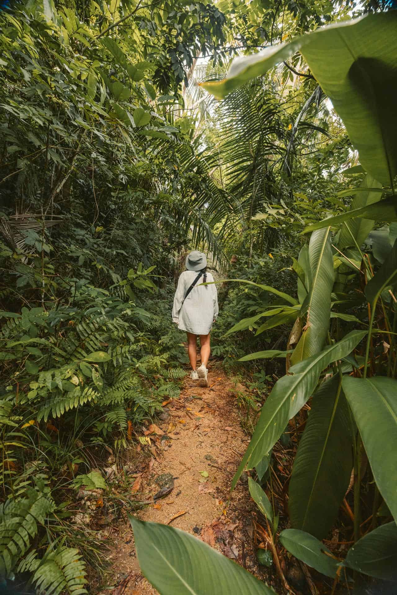 Haad Rin to Haad Yuan hike through forest