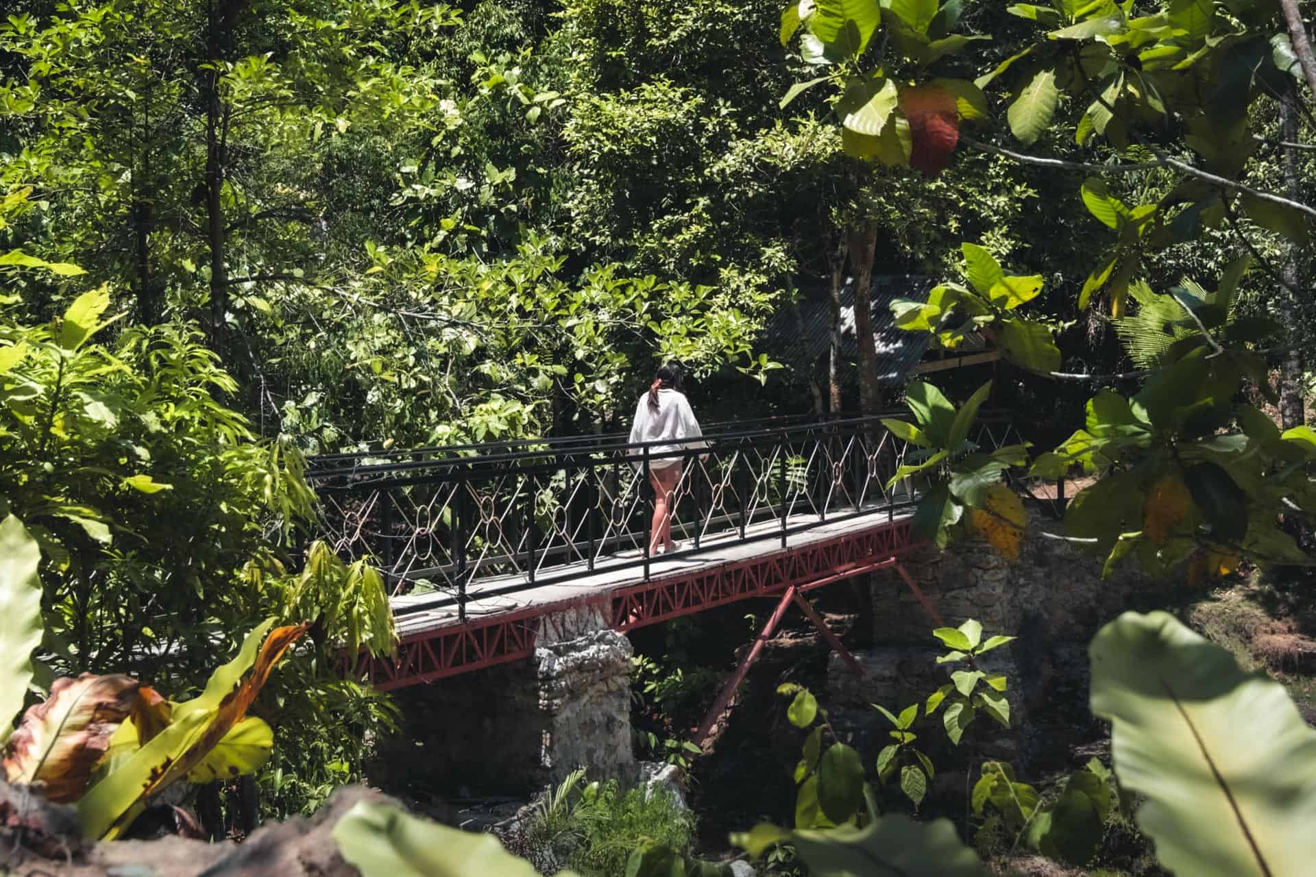 Can-umantad Falls in Bohol: Our Complete Guide 5 Bridge at Can-umantad Falls in Bohol Philippines