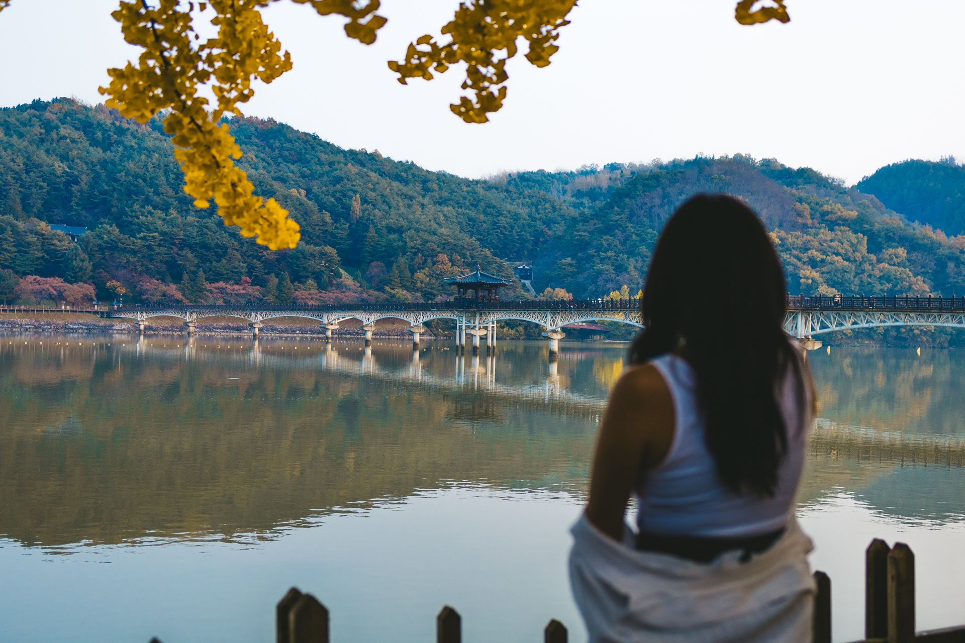 Andong Korea Wolyeongjong Bridge view