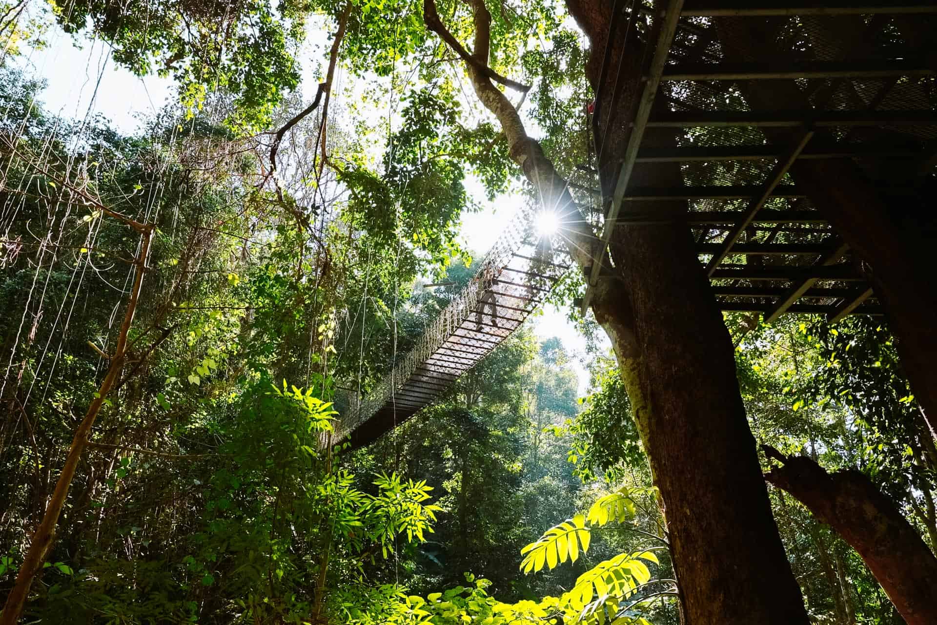 Mae Kampong Travel Guide: 6 Awesome Things to Do in Mae Kampong 14 Mae Kampong swinging bridge