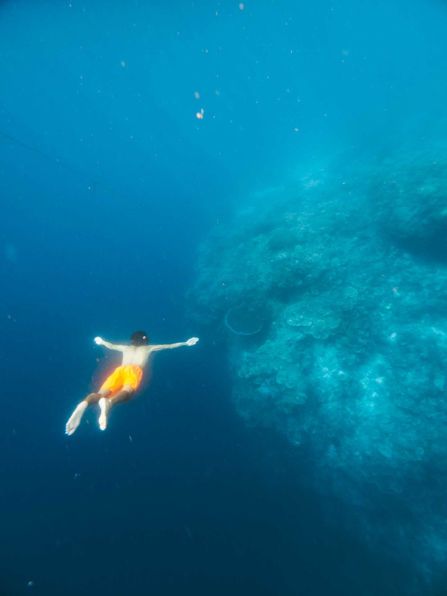 Balicasag Island Snorkeling: Is It Worth It? 13 Deep dive at Balicasag Island