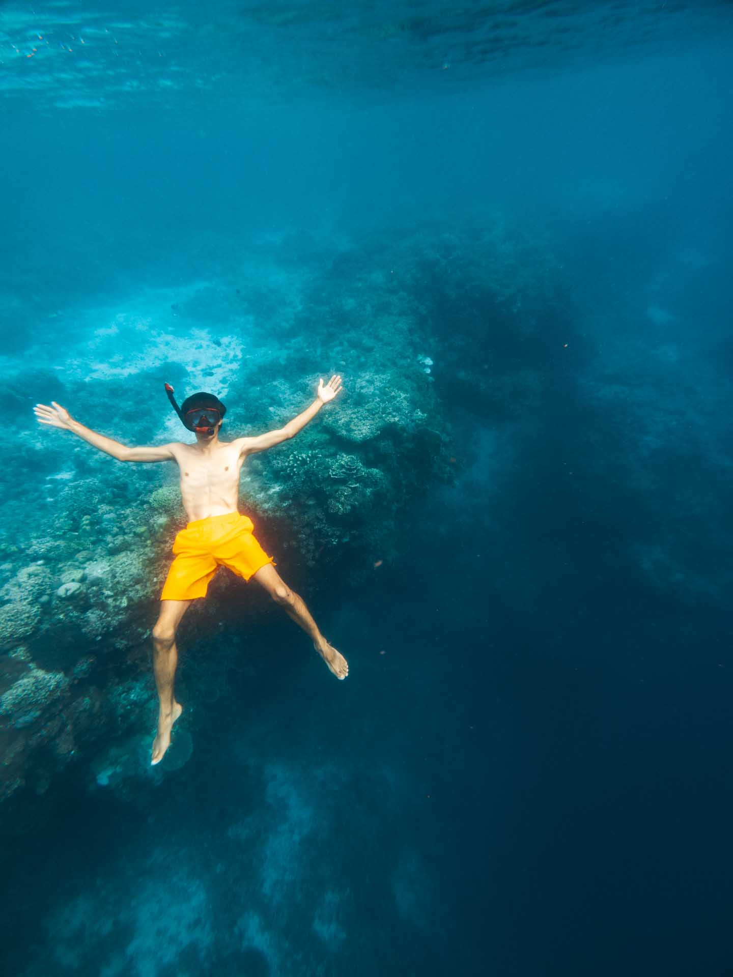 24 Awesome Things to Do in Bohol: Complete Guide 6 Balicasag Island Snorkeling