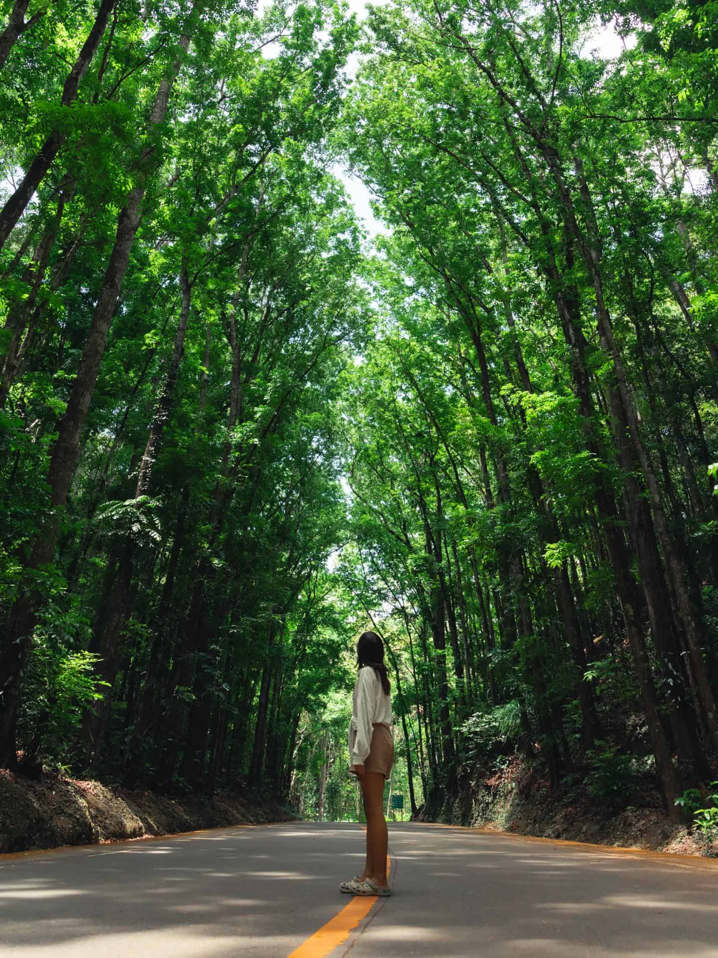 3 Days in Bohol: The Perfect Bohol Itinerary 16 Bilar man made forest in Bohol