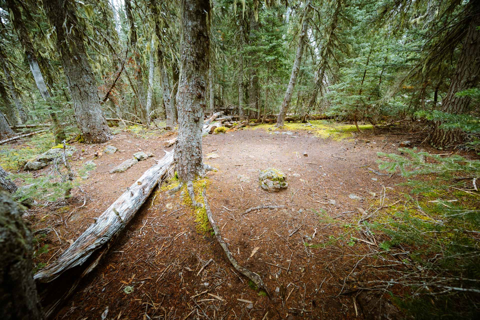 Small campsite at Buckhorn Lake on Tubal Cain Trail