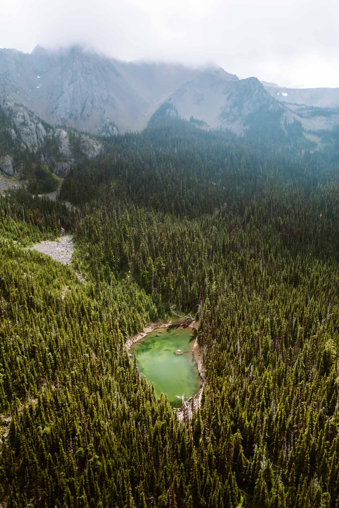 Aerial view of Buckhorn Lake in Olympic National Forest