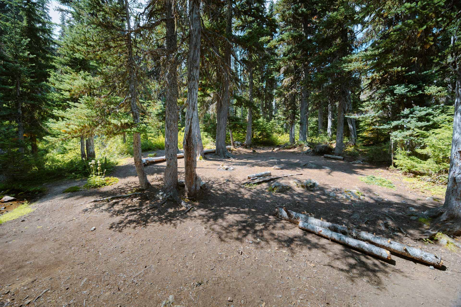 Large campsite near Buckhorn Lake