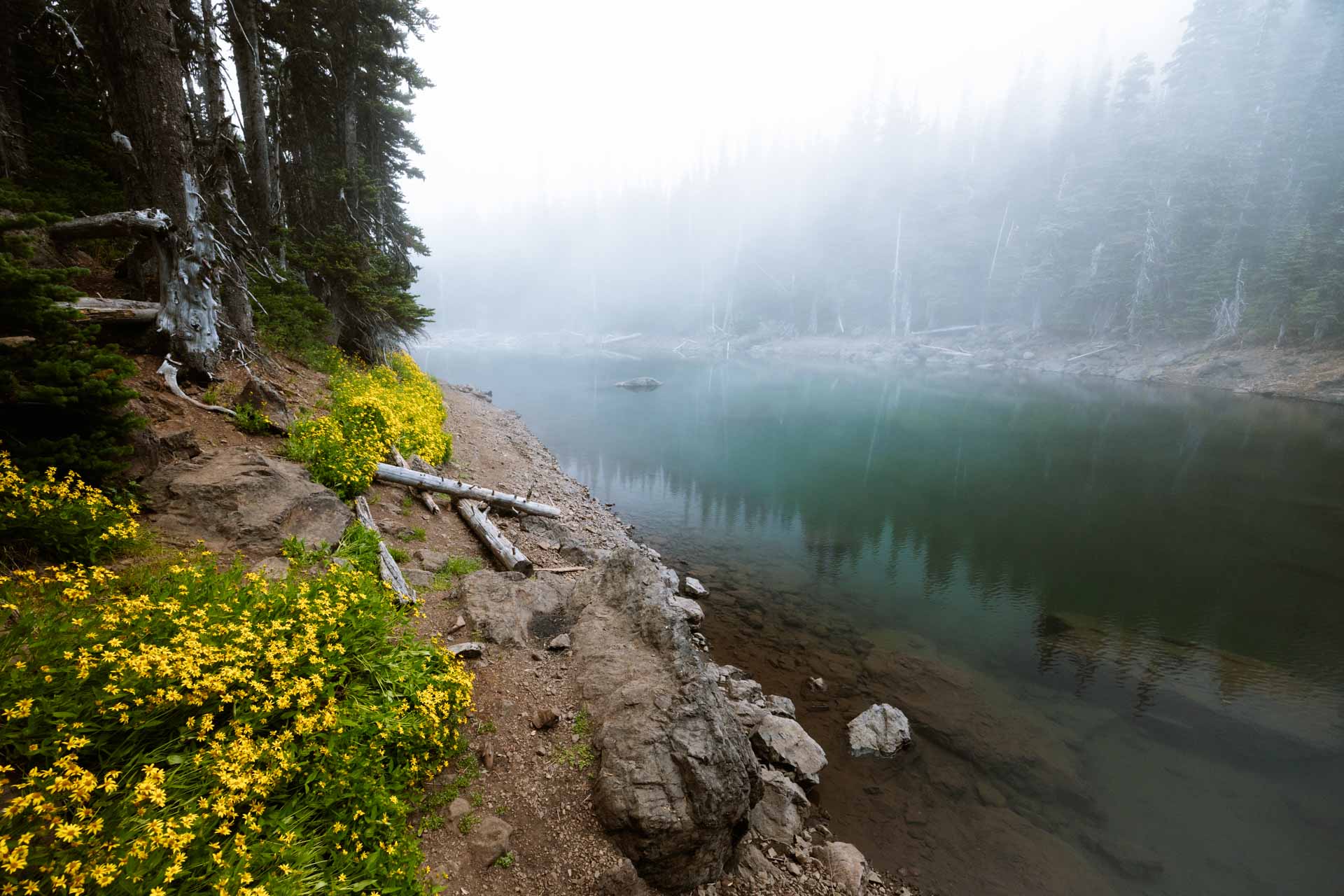 Thick fog at Buckhorn Lake