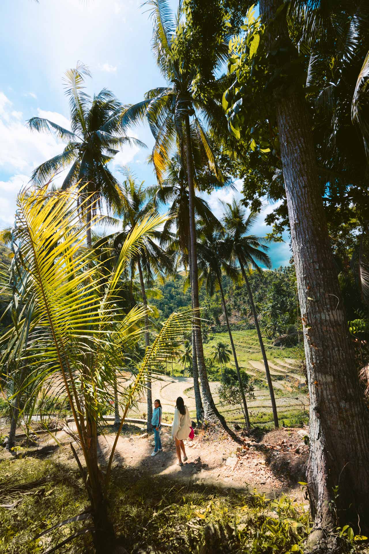 Dam Agan Falls in Bohol: Our Complete Guide 6 Walking down Dam Agan Falls Trail in Bohol