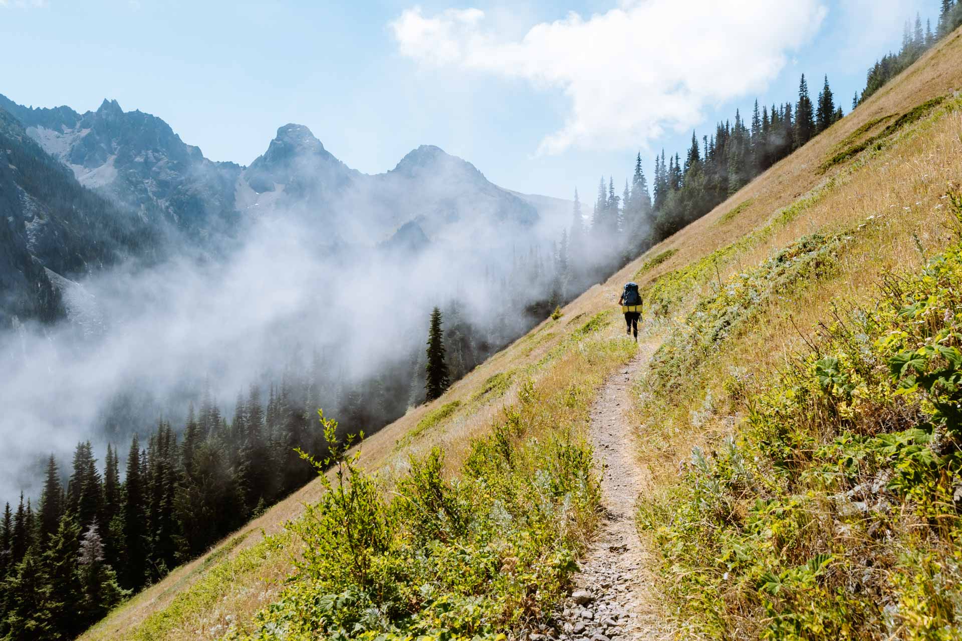 Hiking through alpine meadows of Tubal Cain Mine Trail