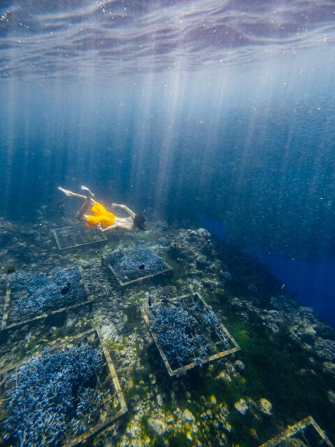 Napaling Reef Snorkeling