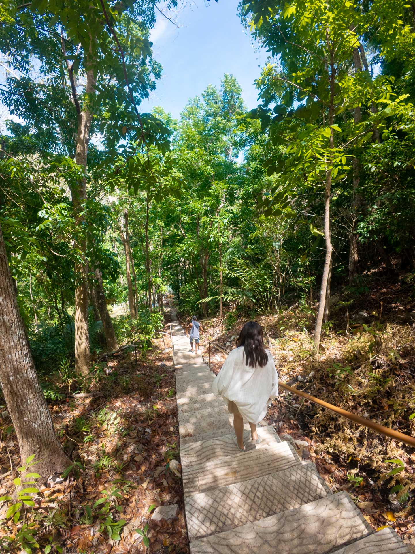 Steps to Pahangog Falls