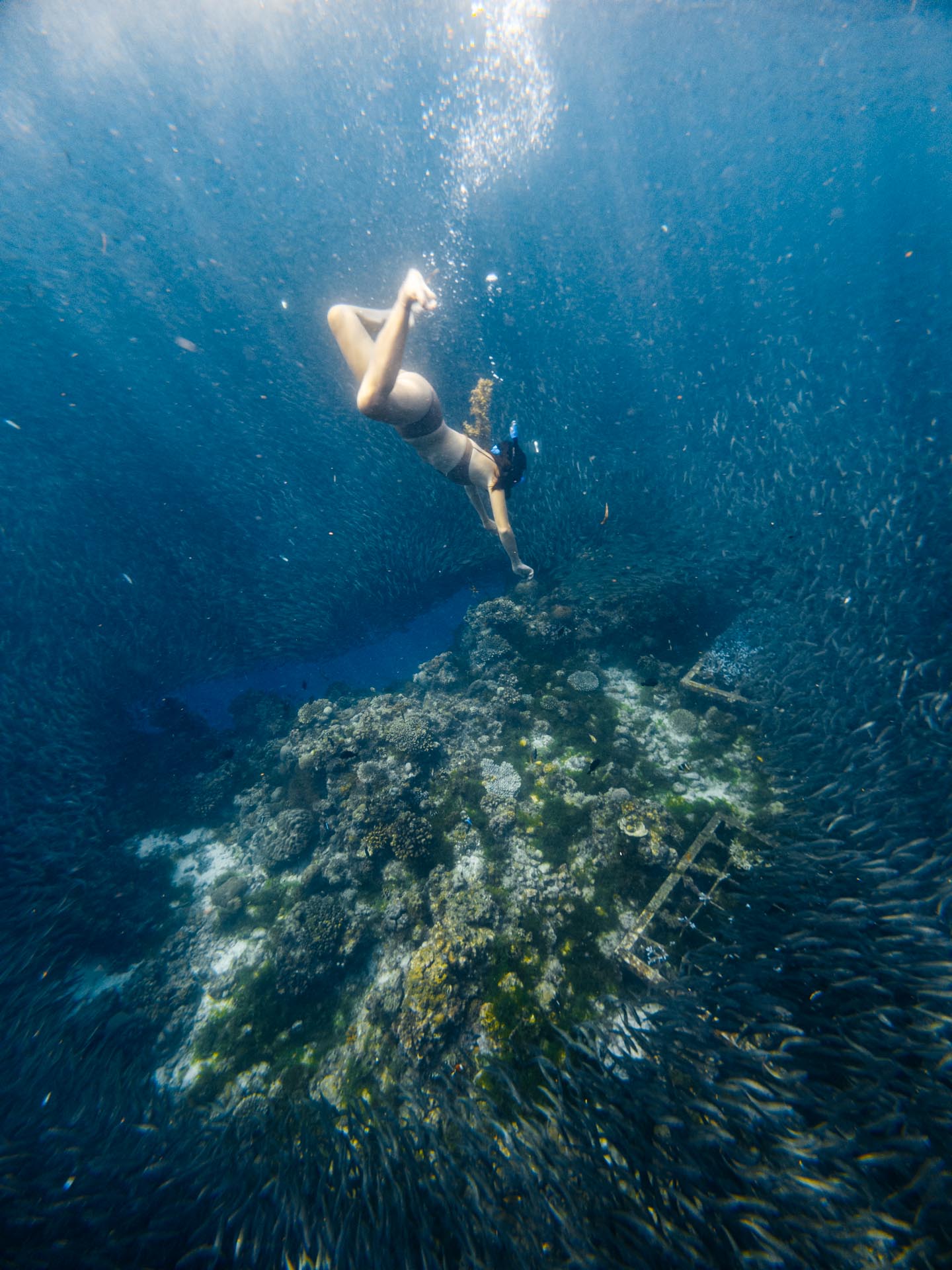 Snorkeling to reef in Napaling Reef Panglao