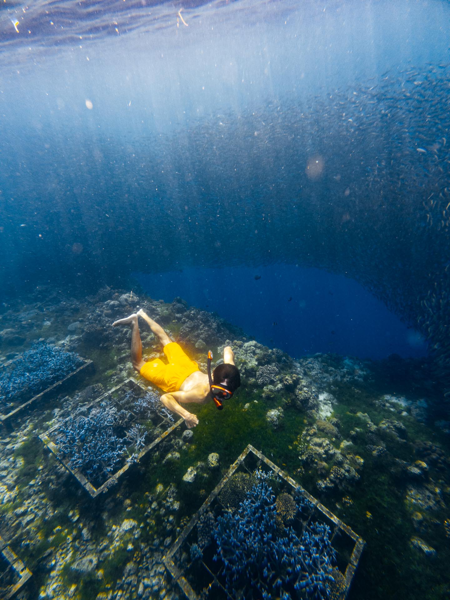 Snorkeling at Napaling Reef