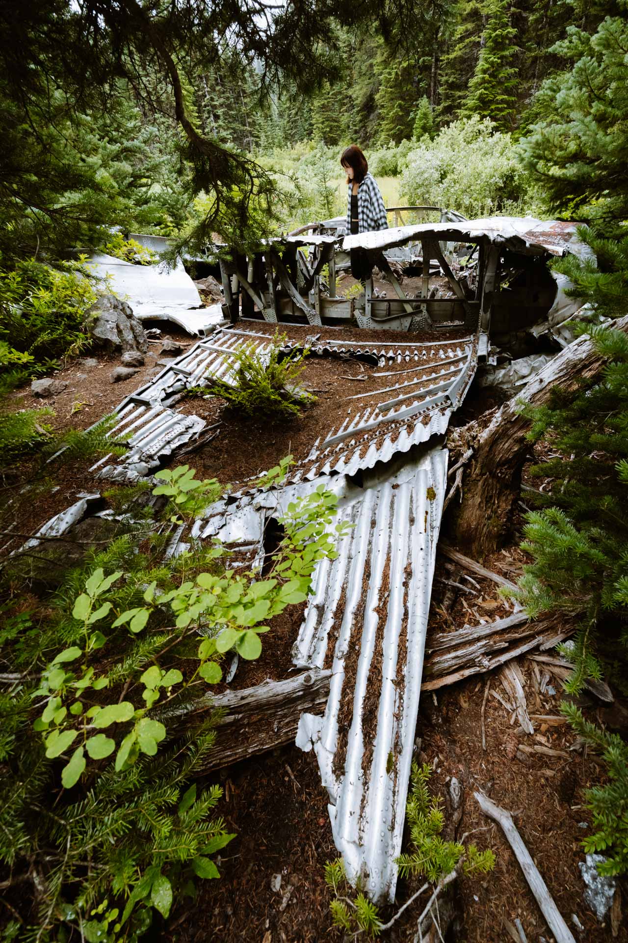Plane crash at Tubal Cain Mine Trail