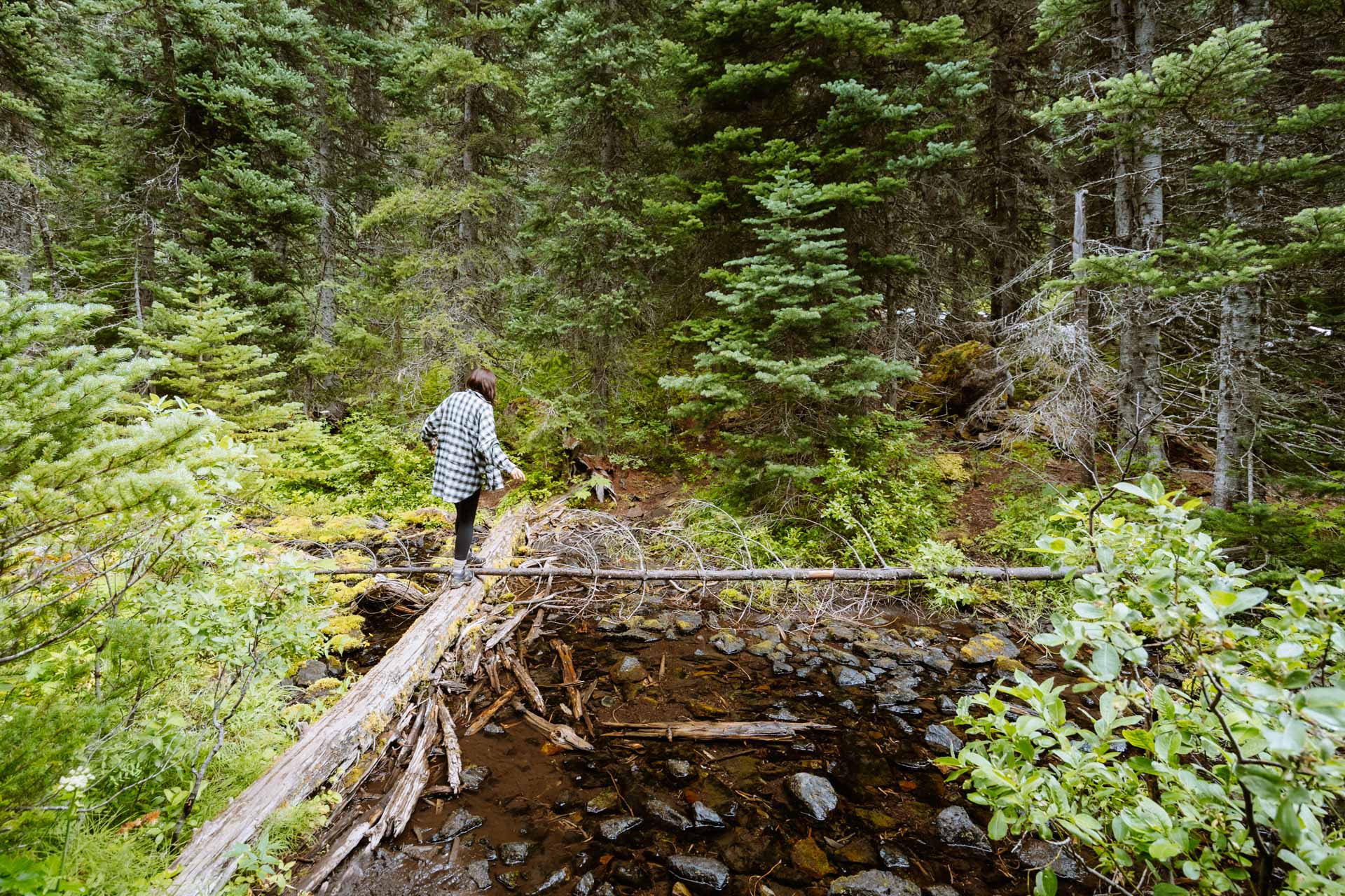 Trail to plane crash at Tubal Cain Trail