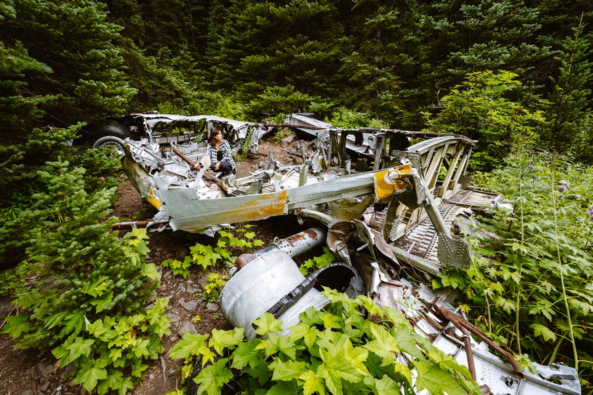 Plane crash at Tubal Cain Trail