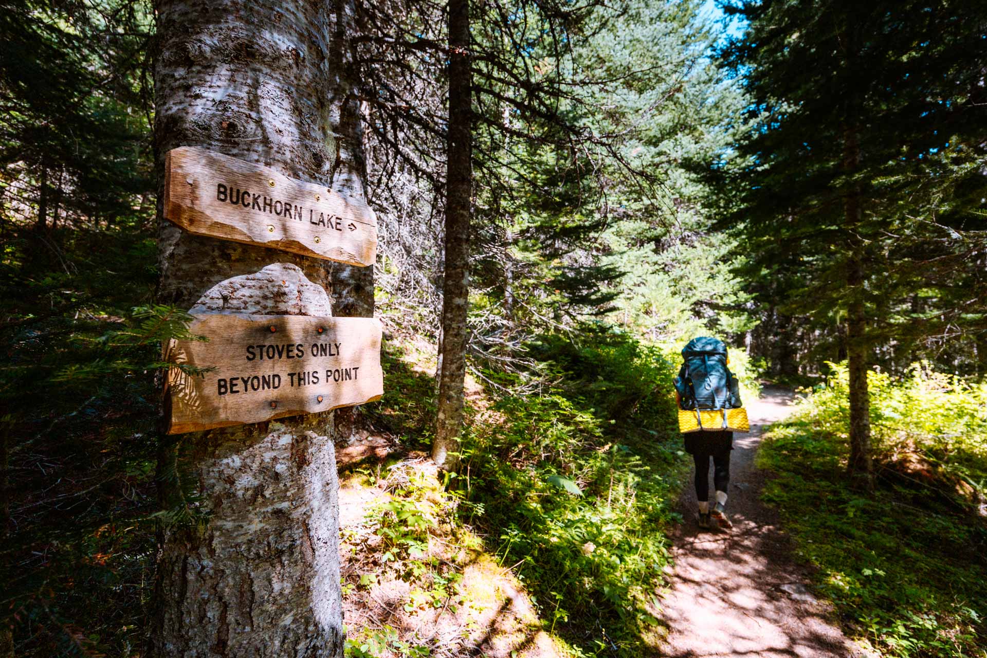 Buckhorn Lake cutoff on Tubal Cain Mine Trail