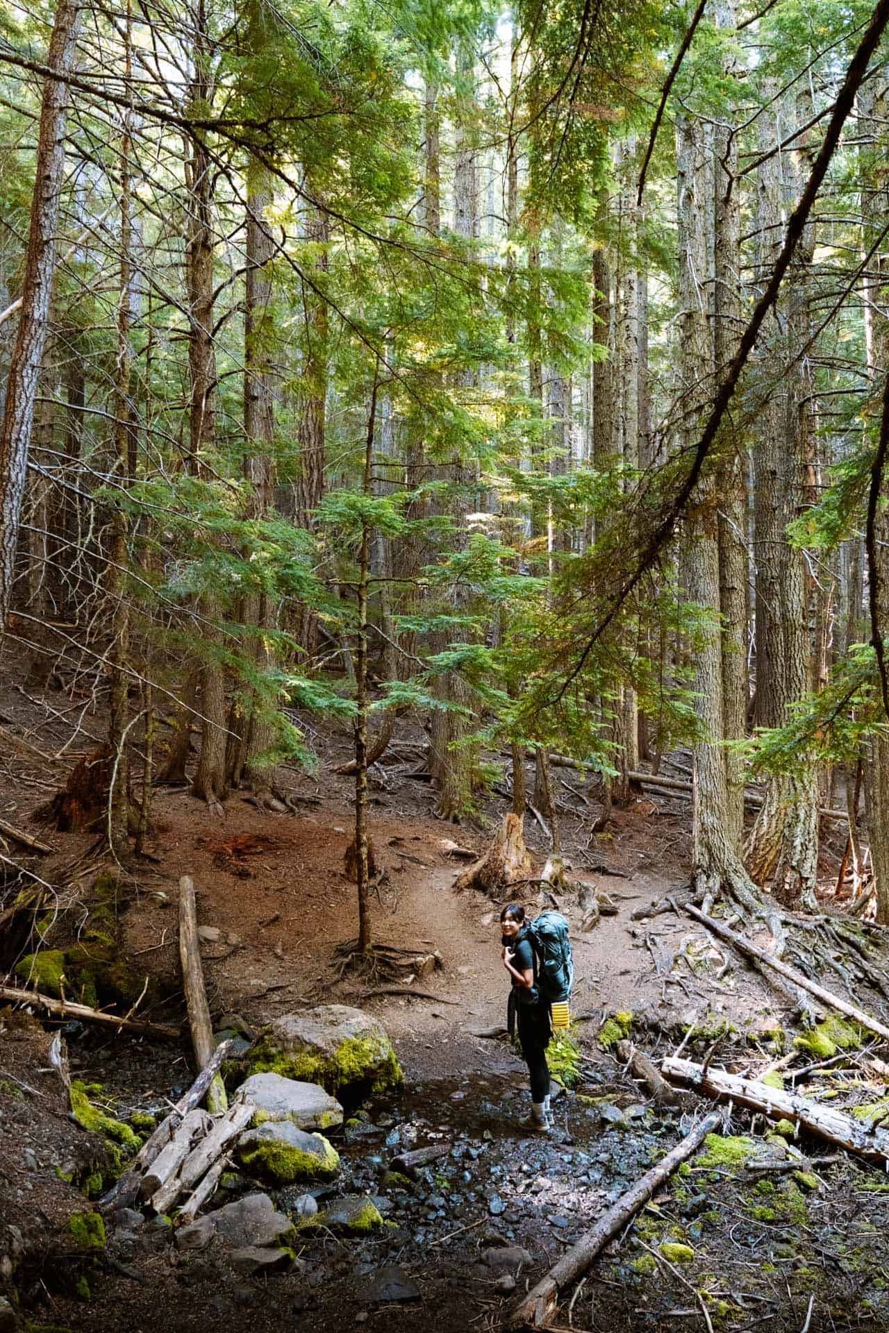 Stream crossing at Tubal Cain Trail