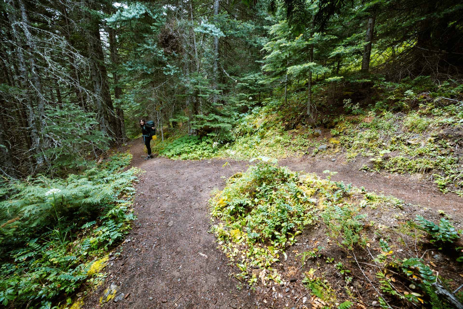 Tubal Cain Trail shortcut