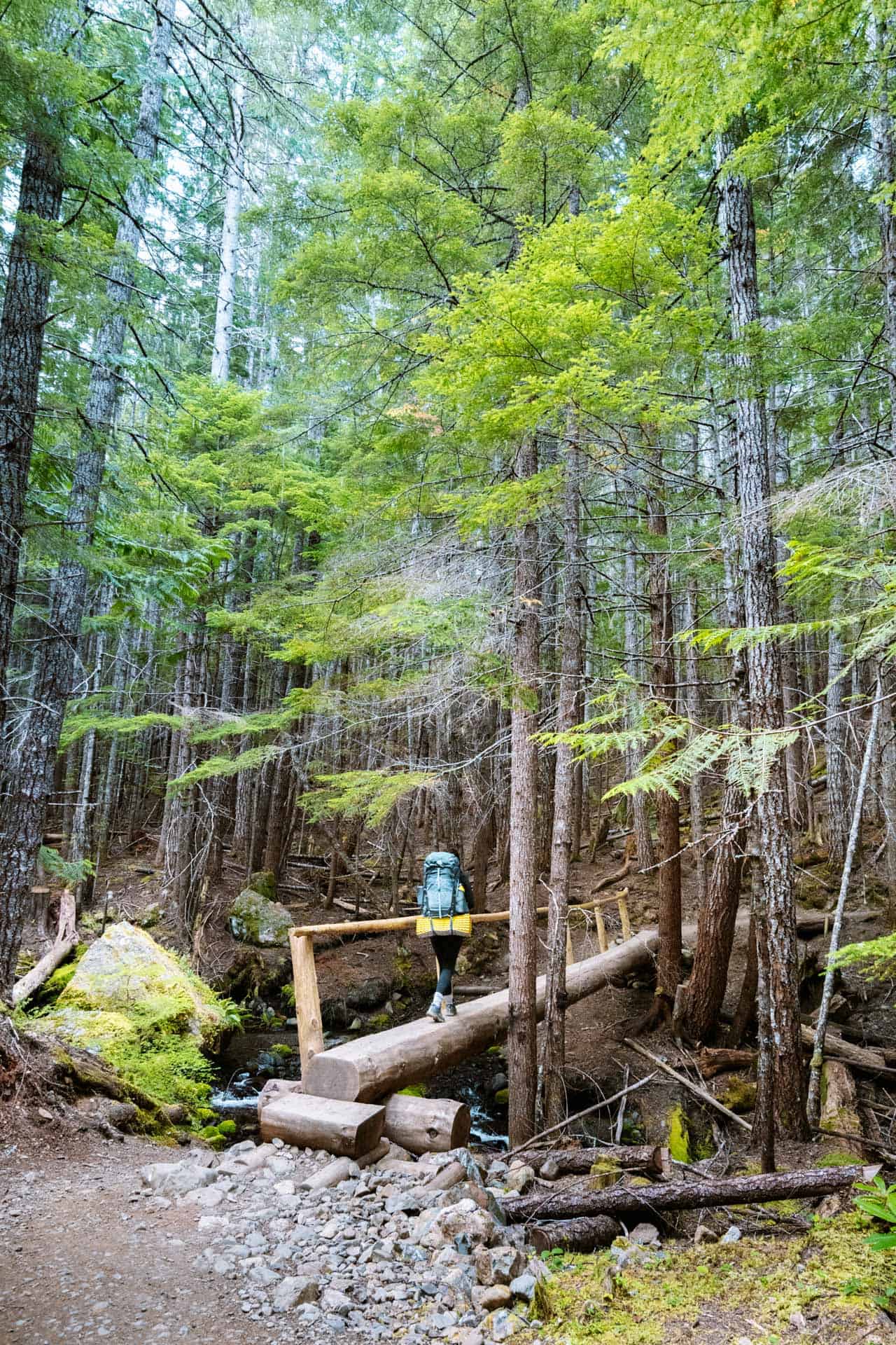 Tubal Cain Trail log bridge
