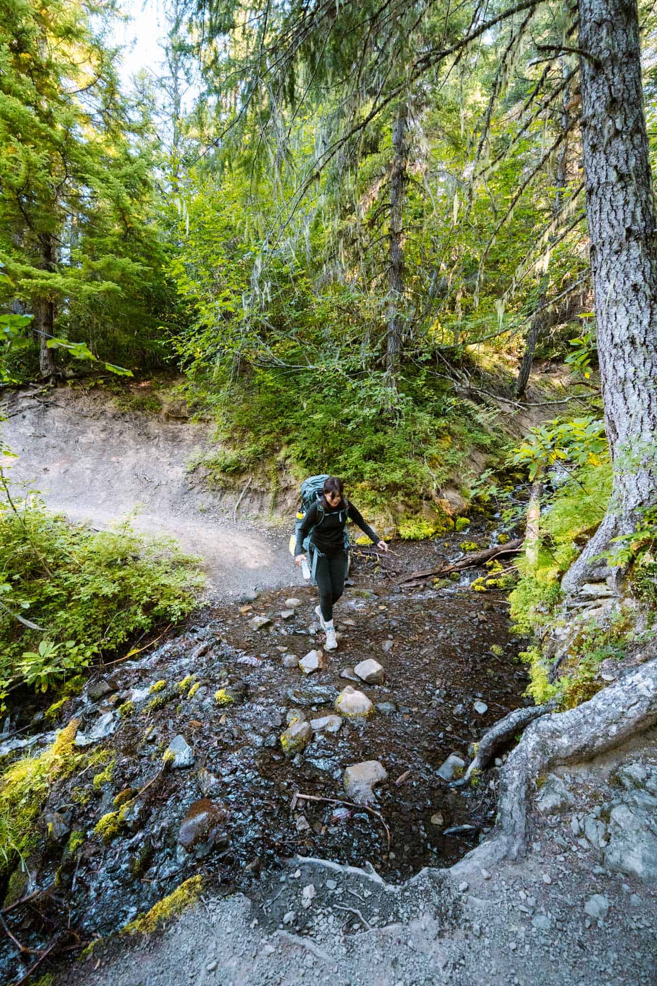 Stream crossing on Tubal Cain Mine Trail
