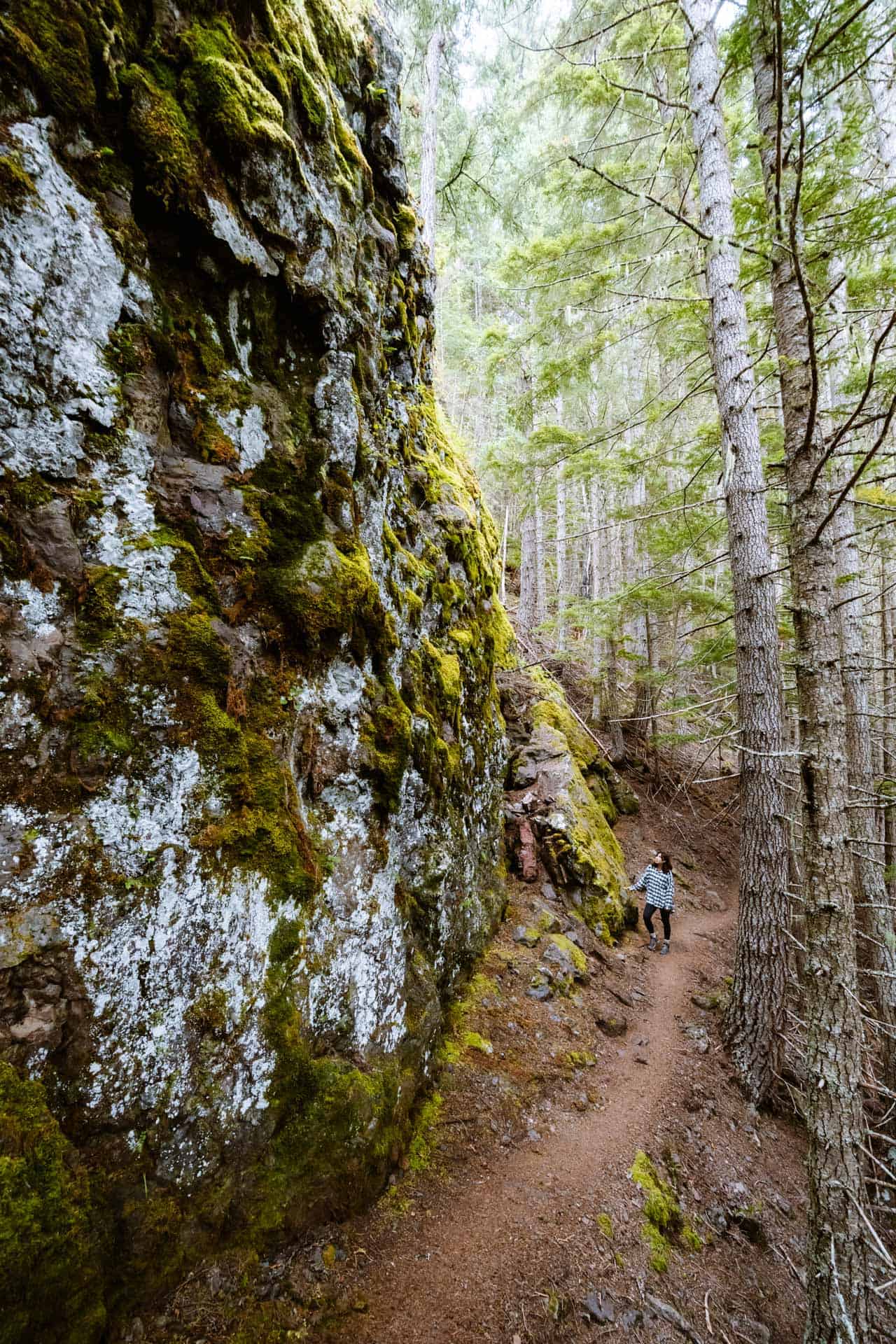 Tull Canyon trail huge rock