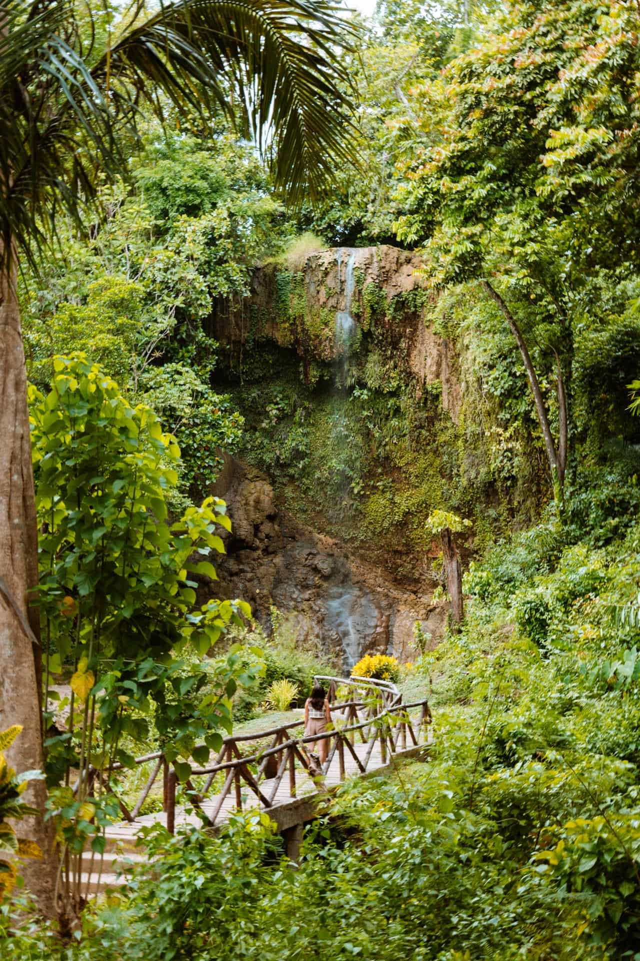 24 Awesome Things to Do in Bohol: Complete Guide 58 Kawasan Falls in Bohol