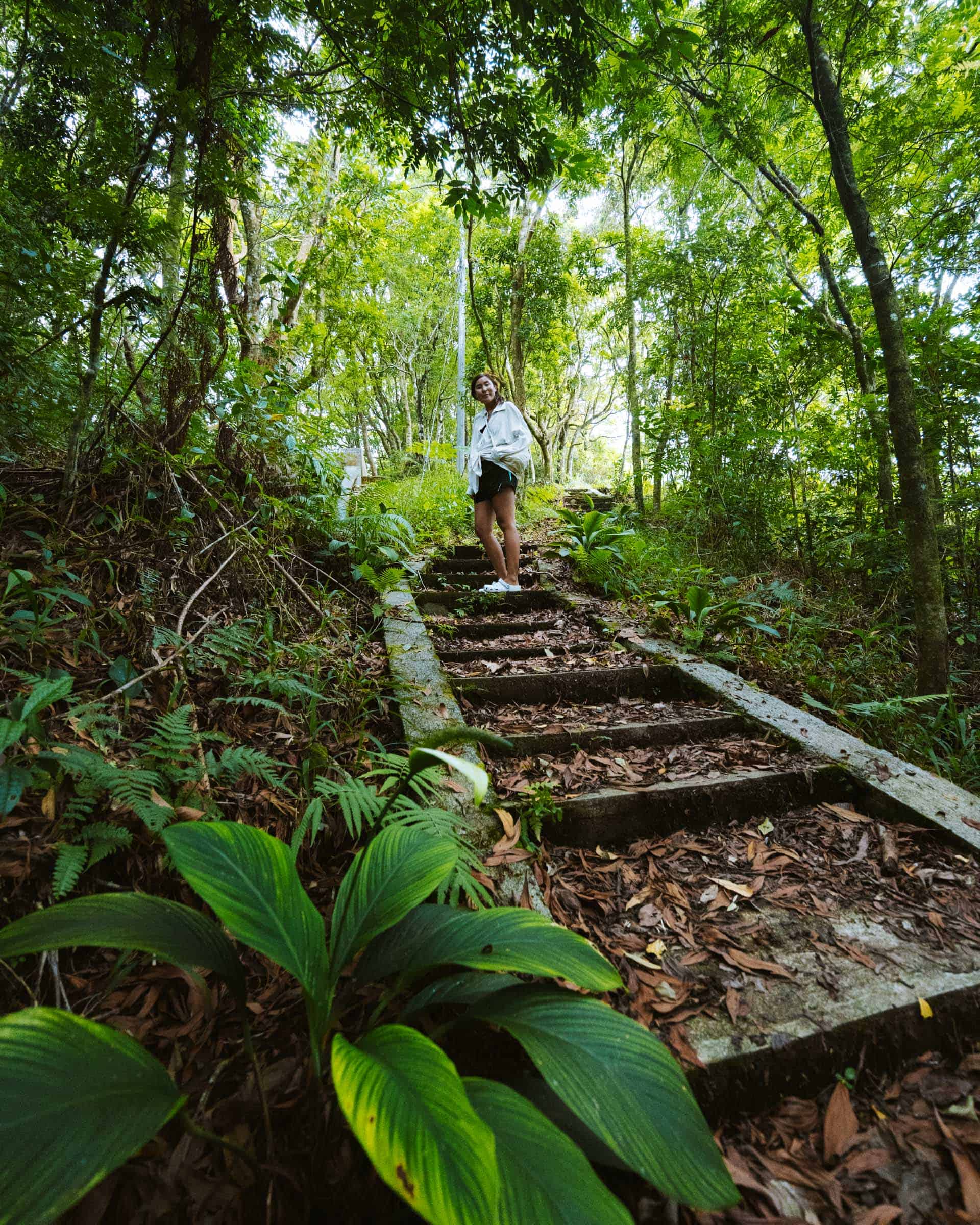 16 Awesome Things to Do in Camiguin: Complete Travel Guide 47 Binangawan Falls trail Camiguin