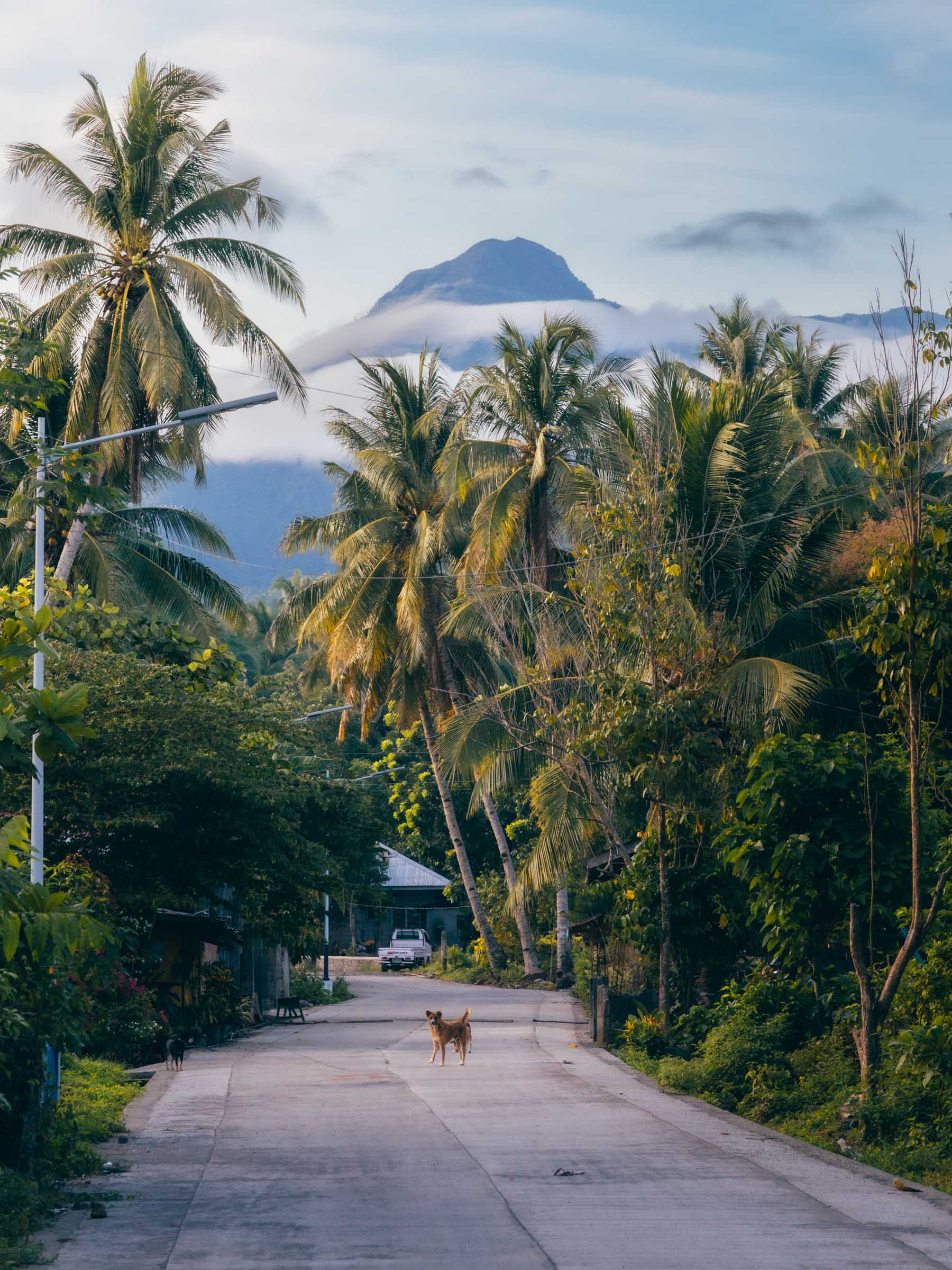 16 Awesome Things to Do in Camiguin: Complete Travel Guide 56 Camiguin mountain morning vibes