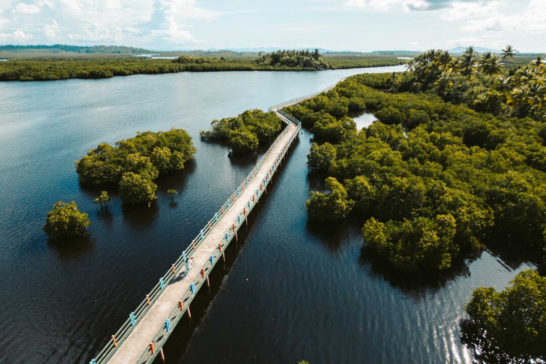 Del Carmen Mangrove Boardwalk