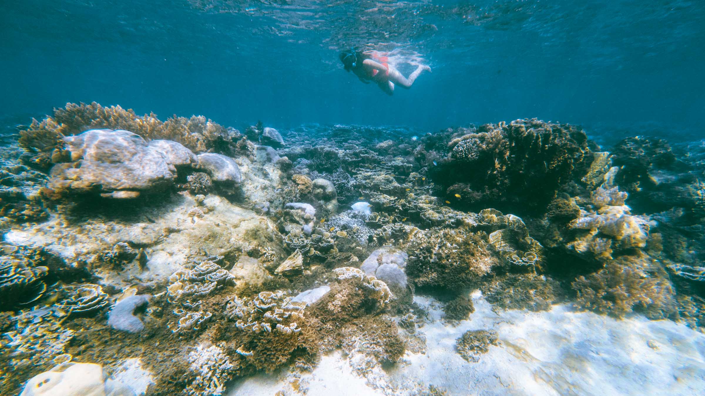 Sunken Cemetery reef snorkeling underwater