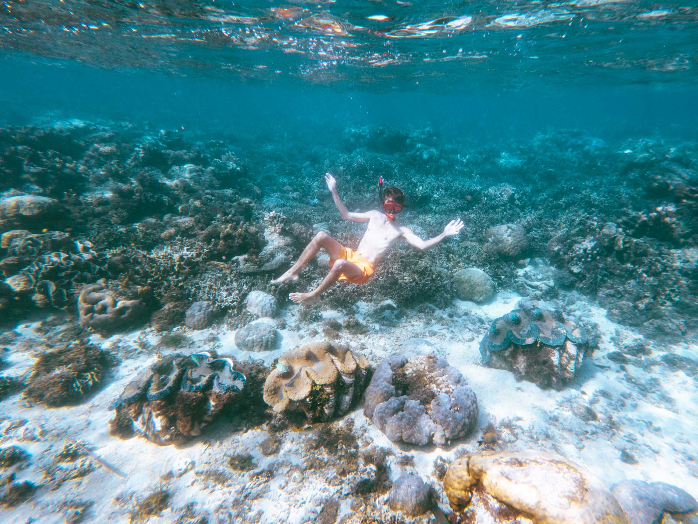 3 Days in Camiguin: The Perfect Camiguin Itinerary 7 Swimming with giant clam at Sunken Cemtery