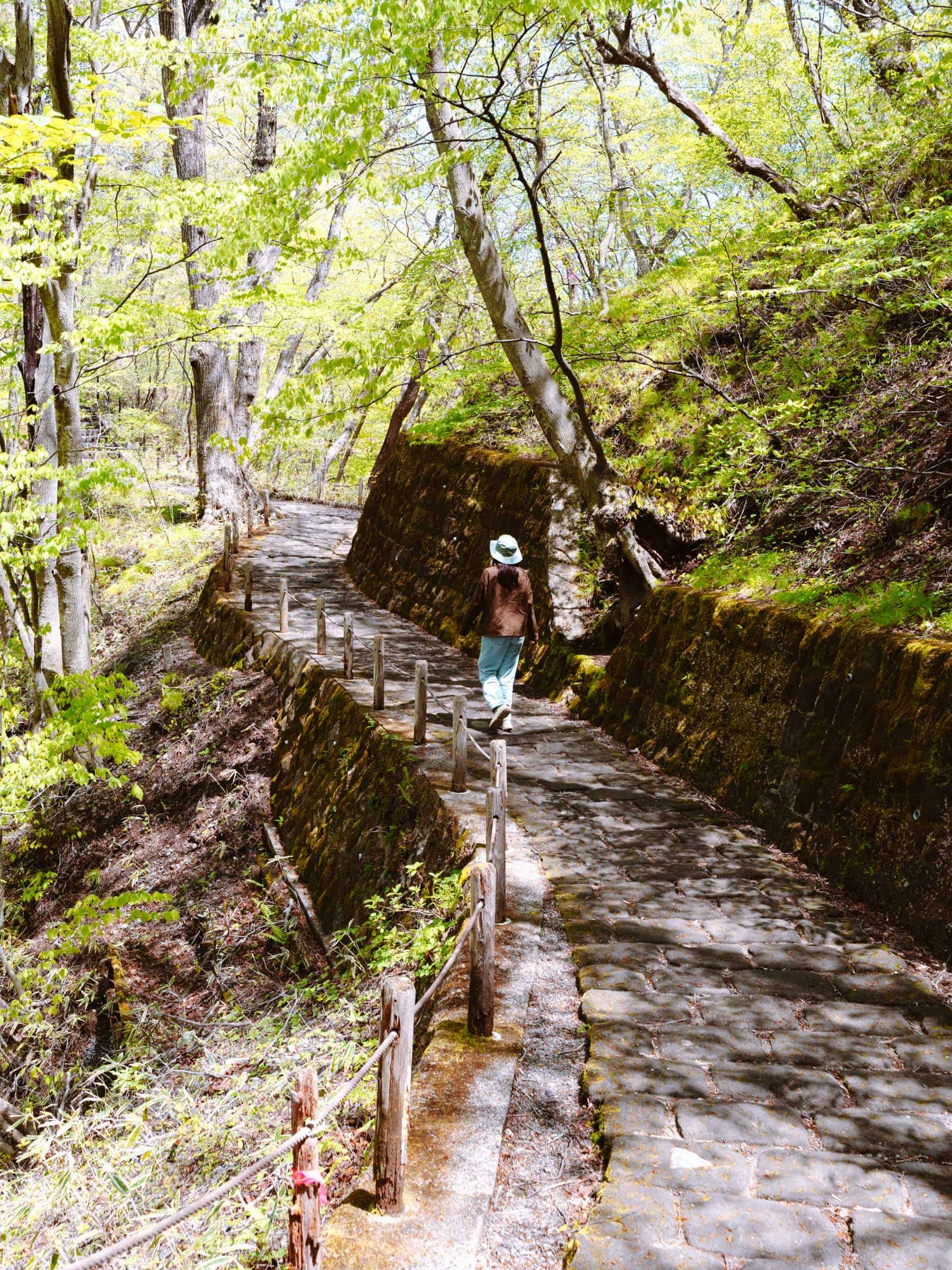 Kirifuri Waterfall trail