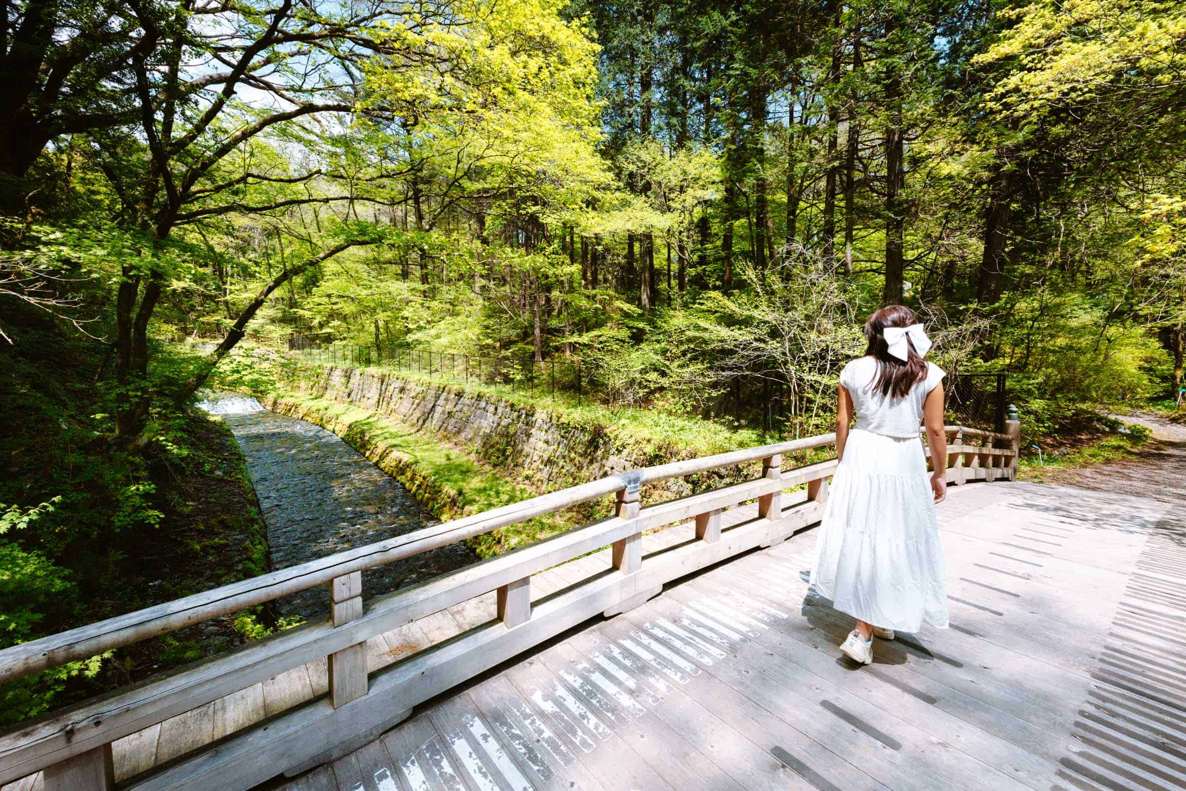 Nikko Botanical Garden bridge