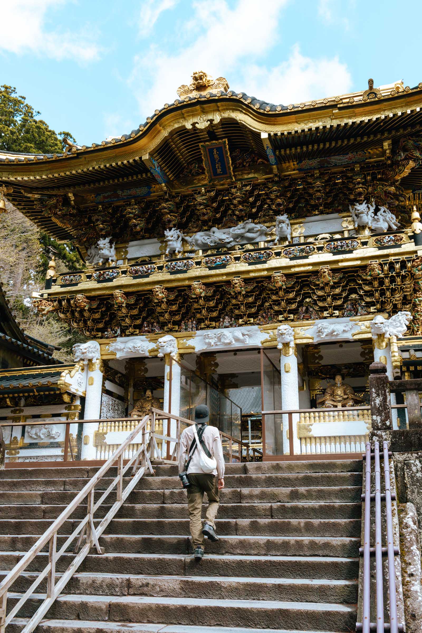 Nikko Toshogu Shrine stairs